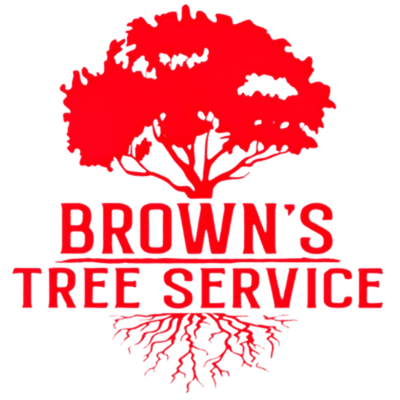 Tree Care & Landscaping Services in Dunnellon, FL