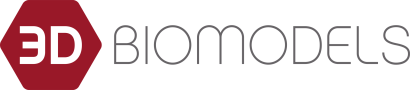 3D Biomodels