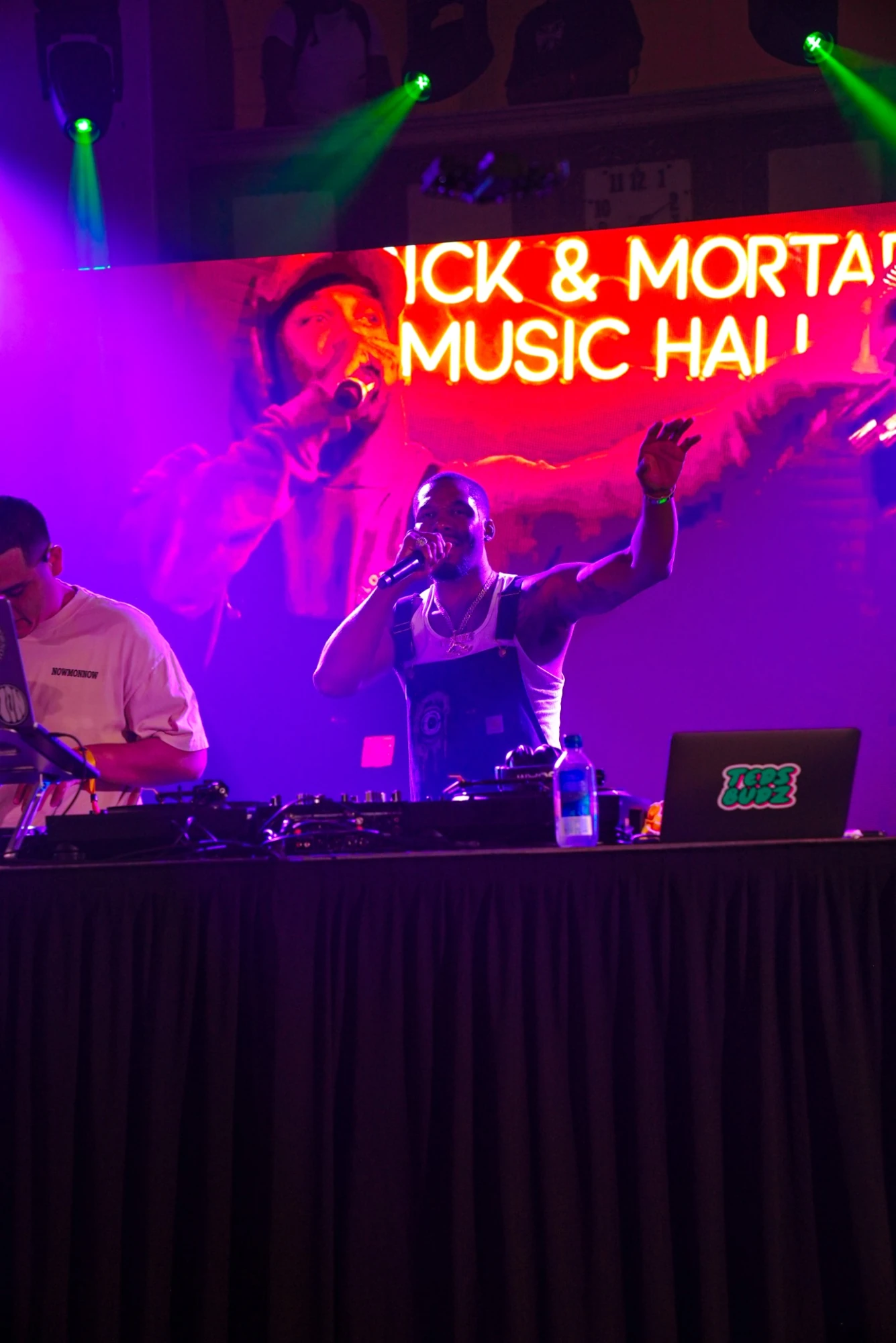 DJ stage and music hall production at TED FEST