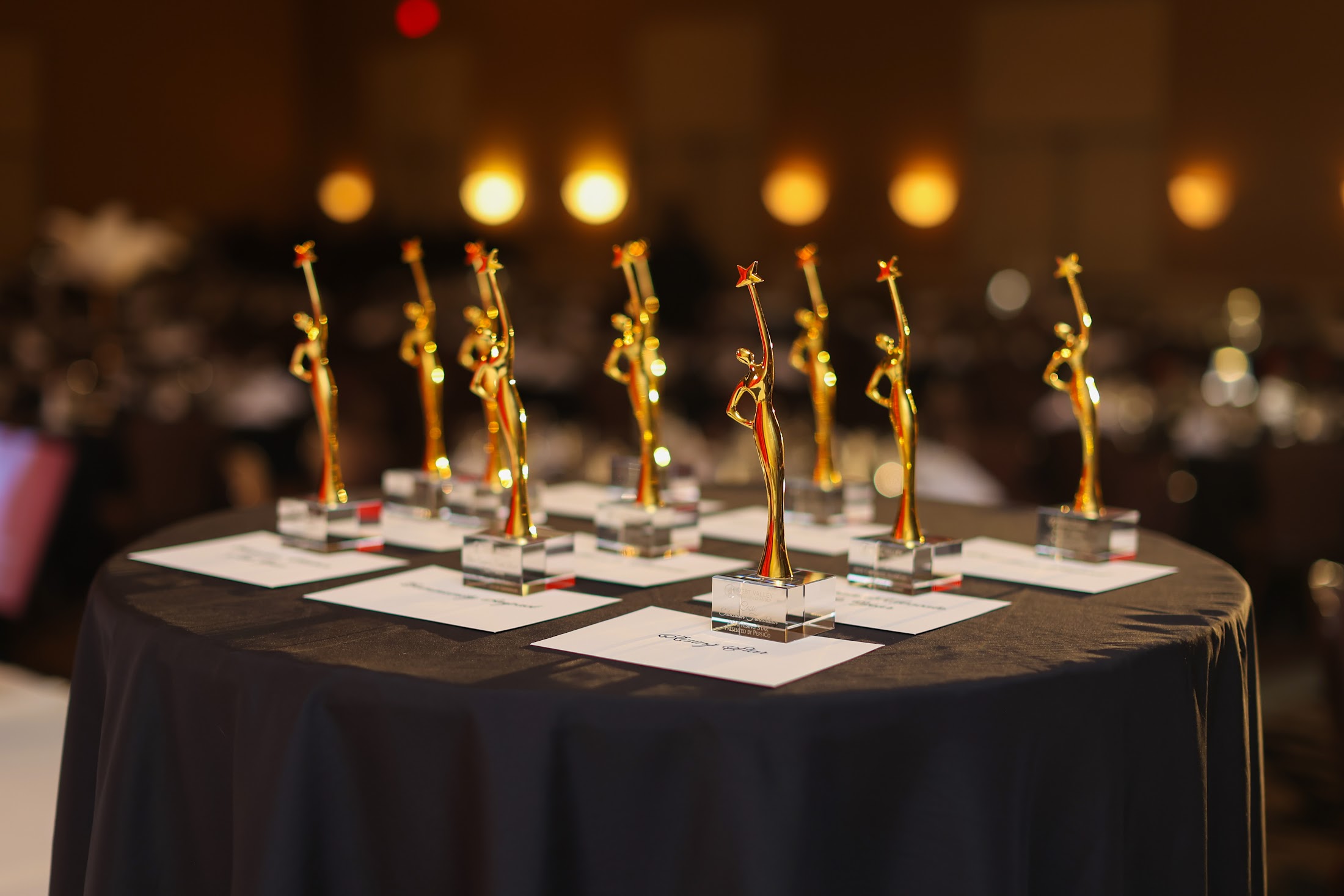 Awards table at the West Valley Awards Gala