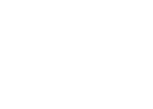 MES Event Group logo