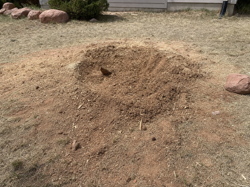 Stump Removal in Saratoga Springs, UT