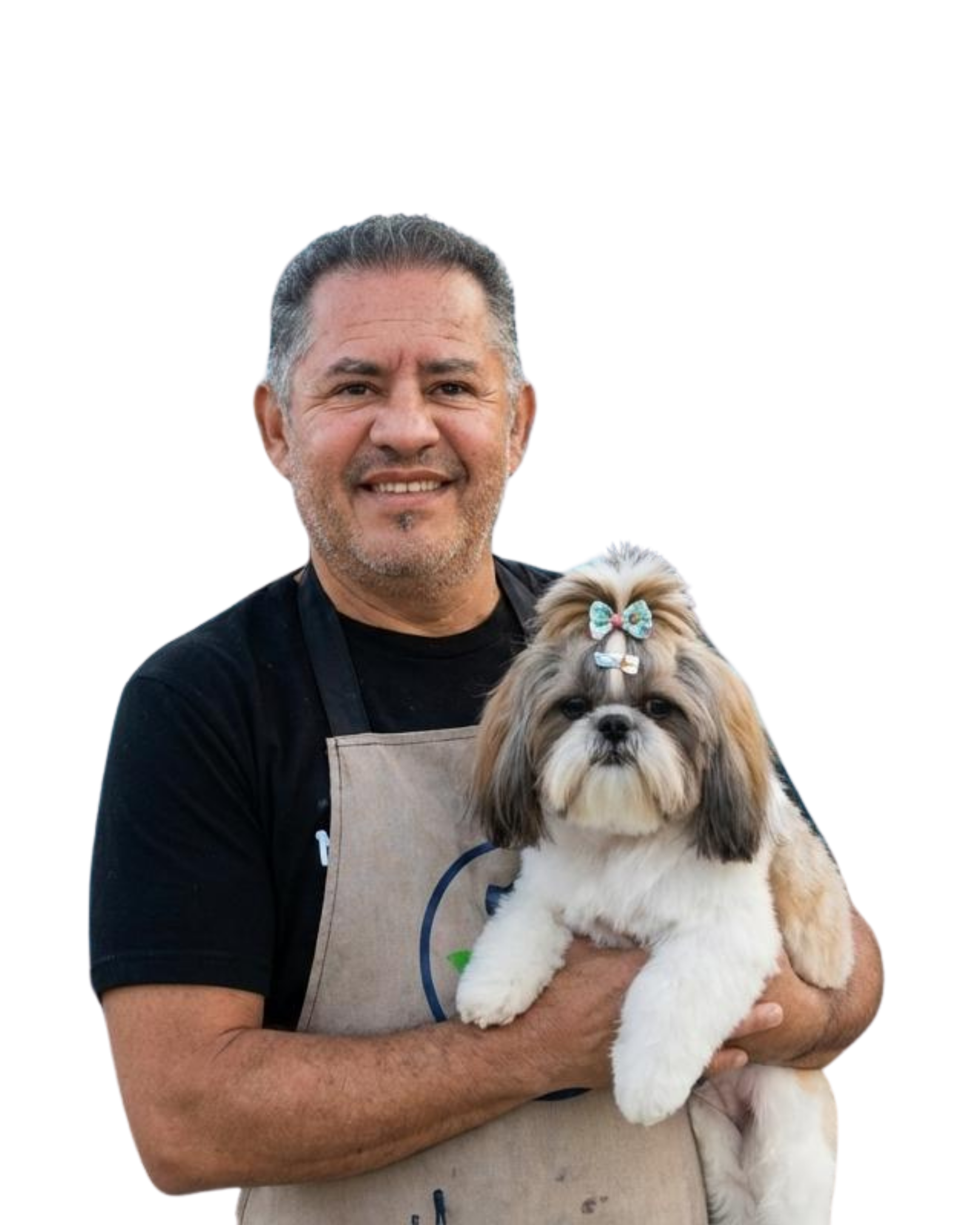 stress free mobile dog grooming at home