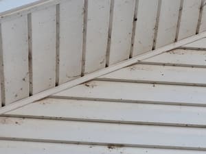 {{ custom_values.service_3 }} in {{custom_values.area_7})