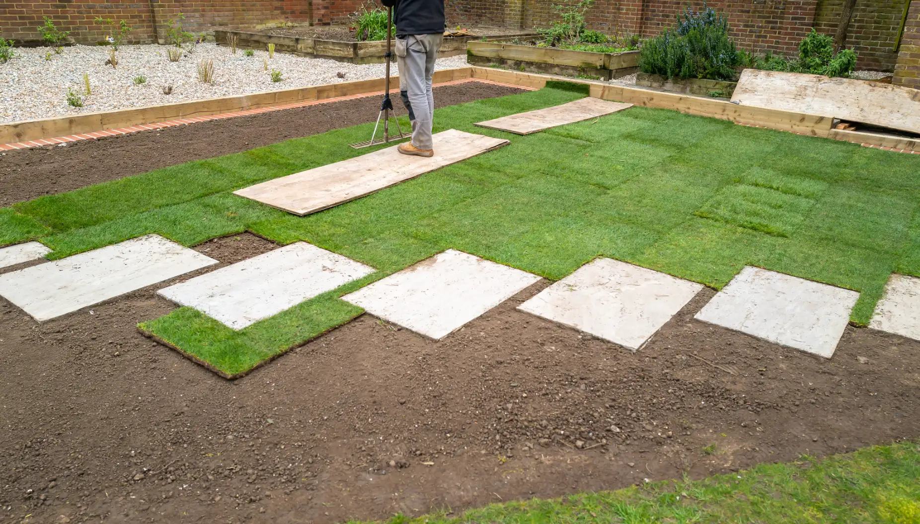 Before landscaping project