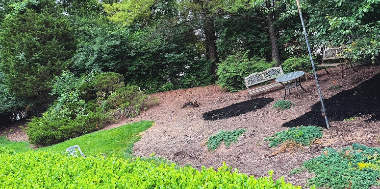 Before landscaping project