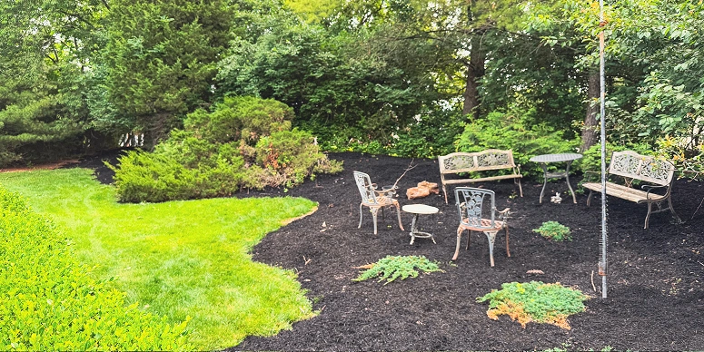 After landscaping project