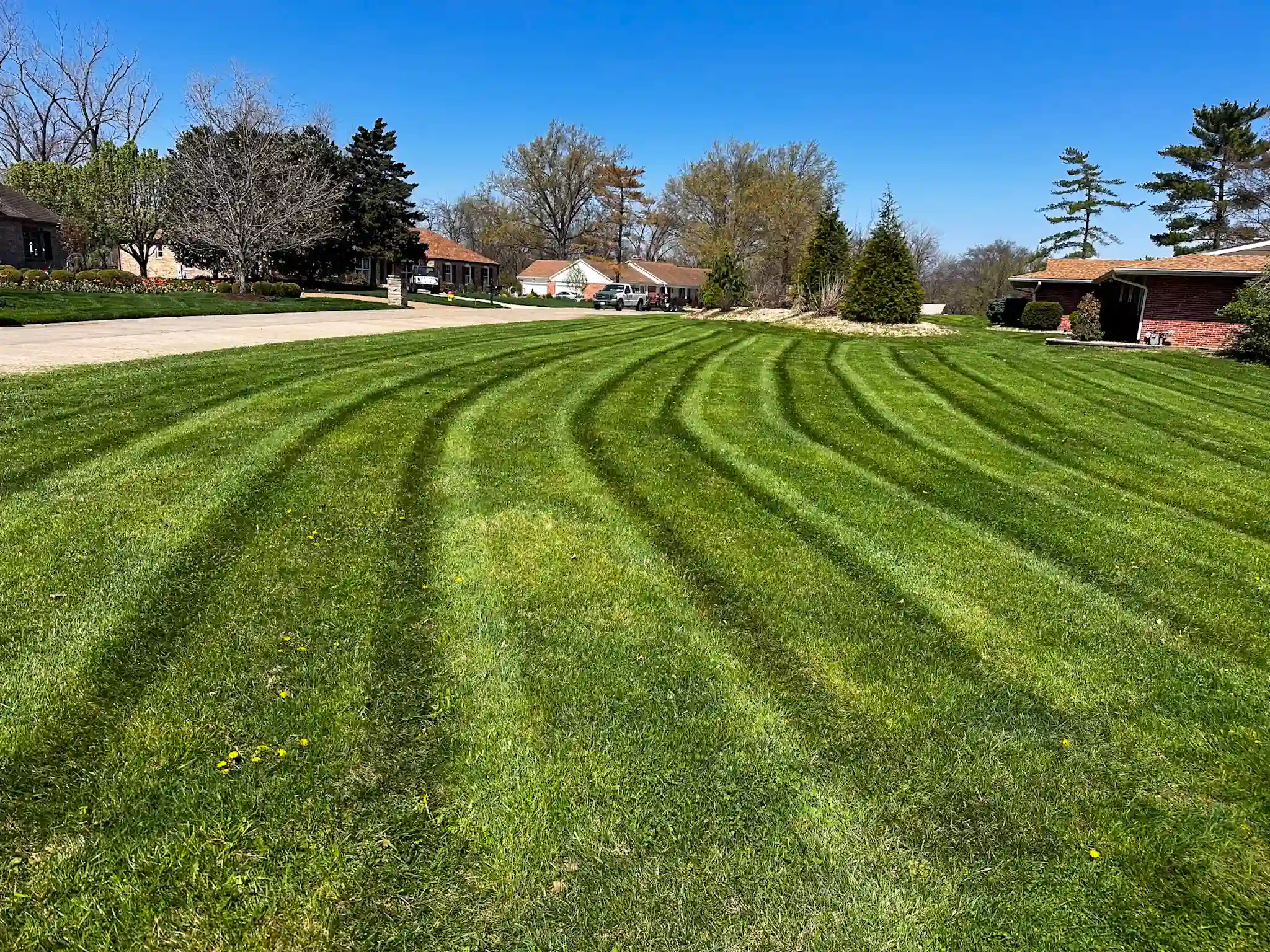 All In Landscaping project