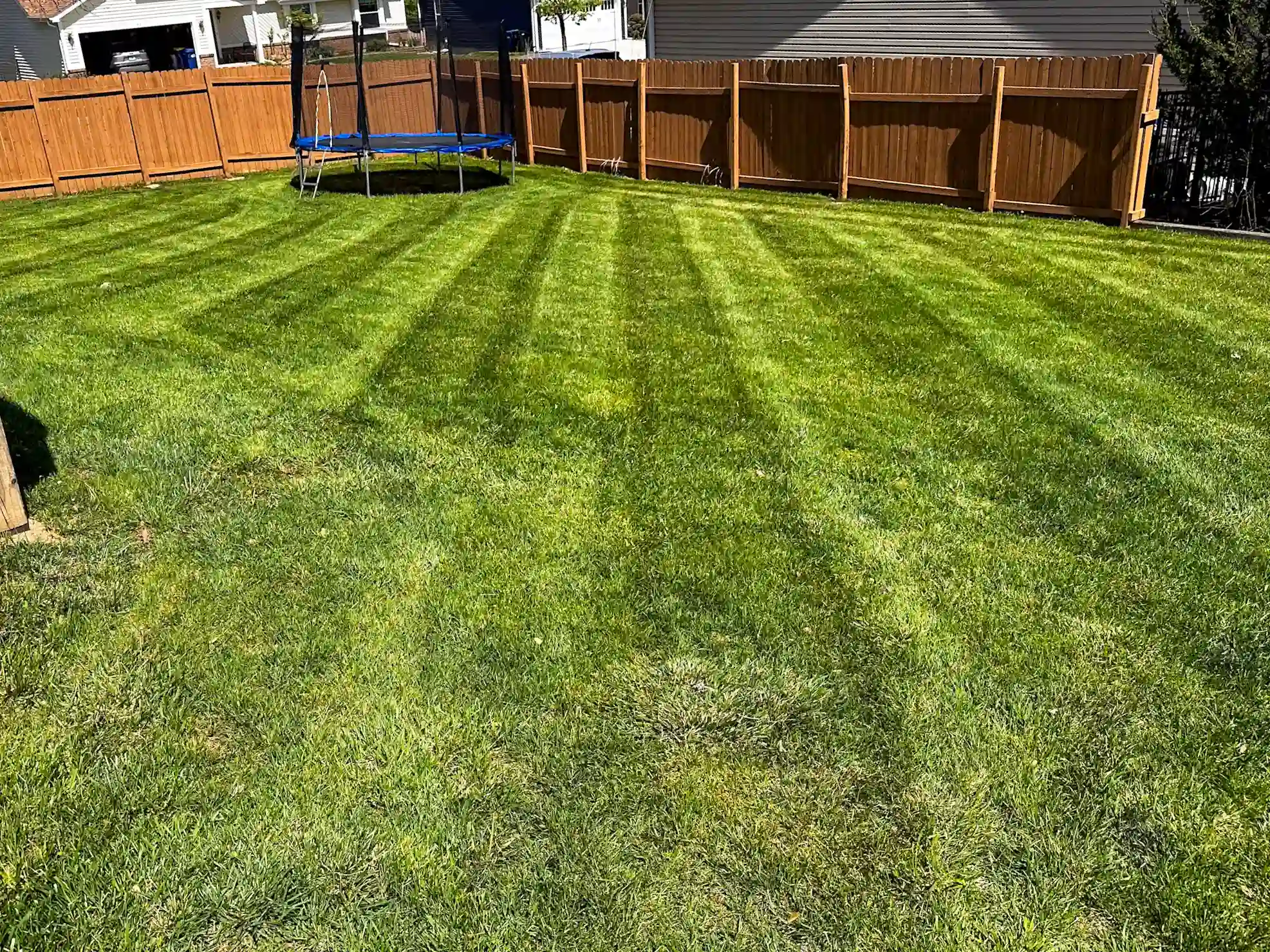 All In Landscaping project