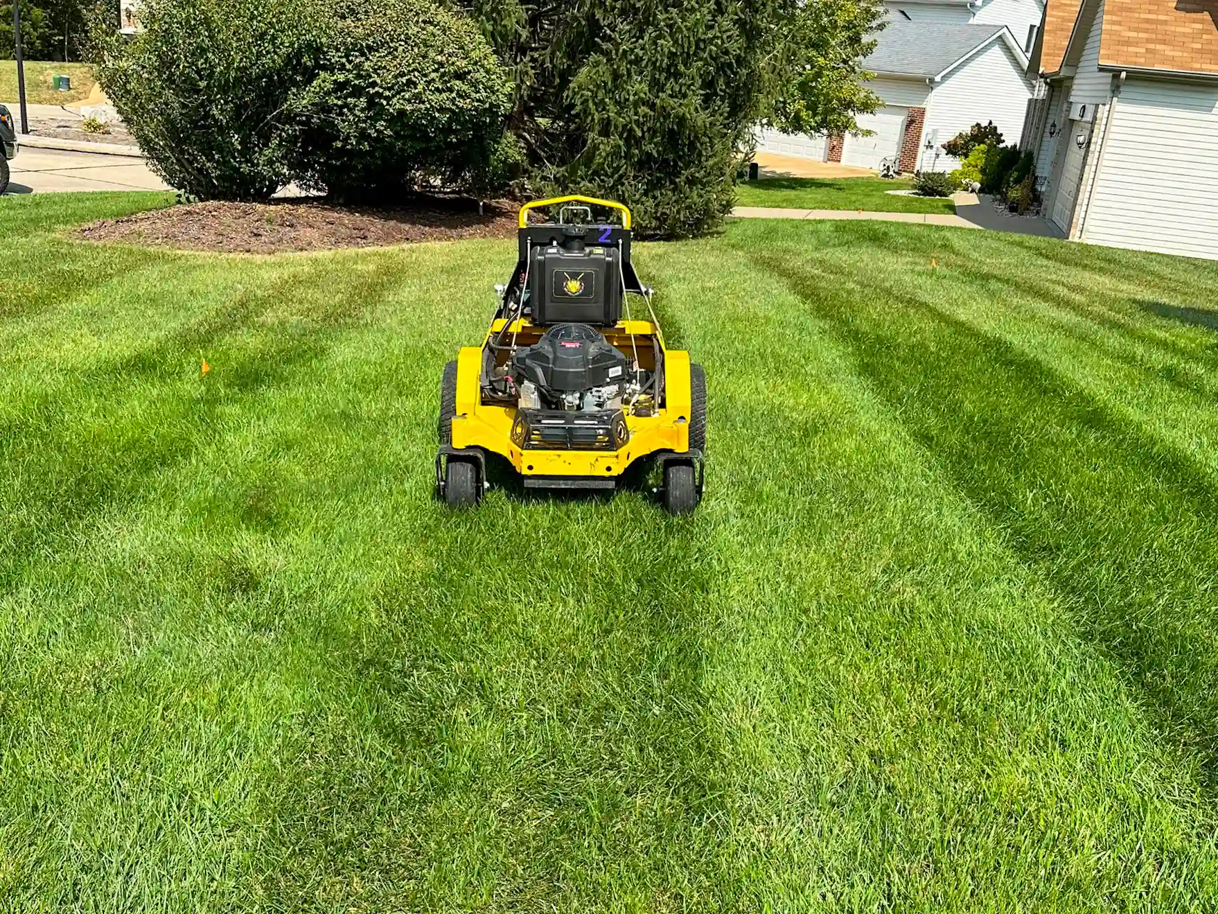 All In Landscaping project