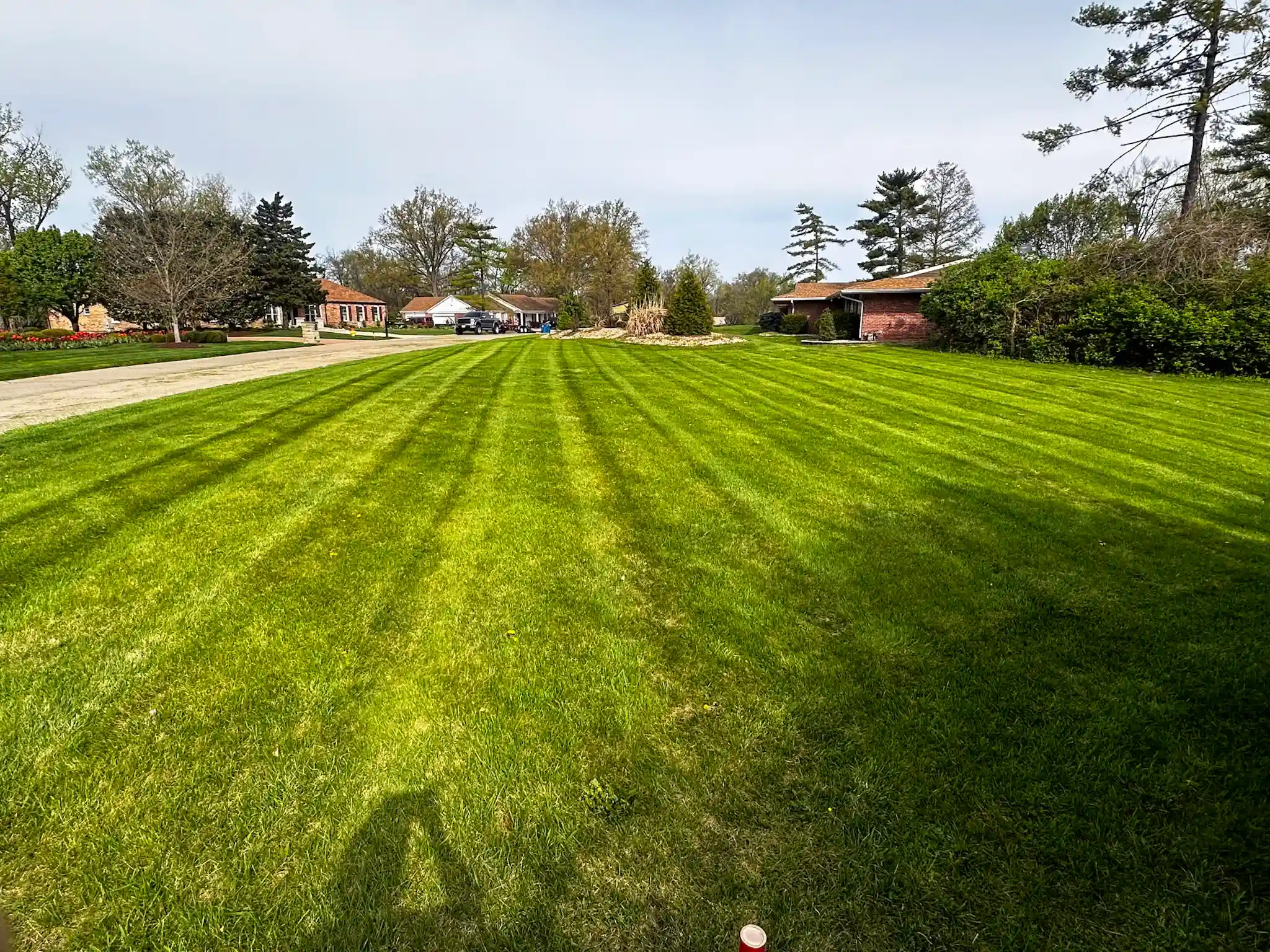 All In Landscaping project