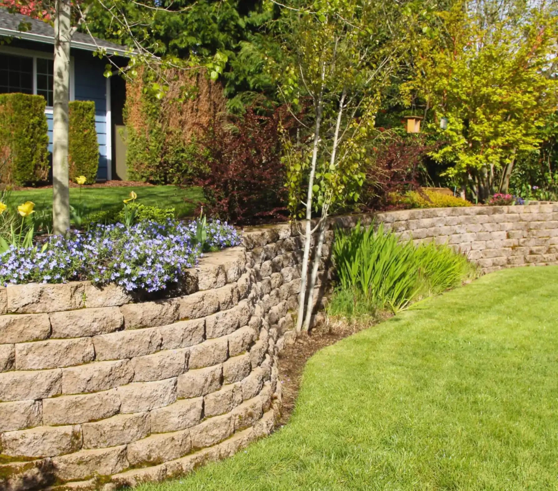 All In Landscaping project