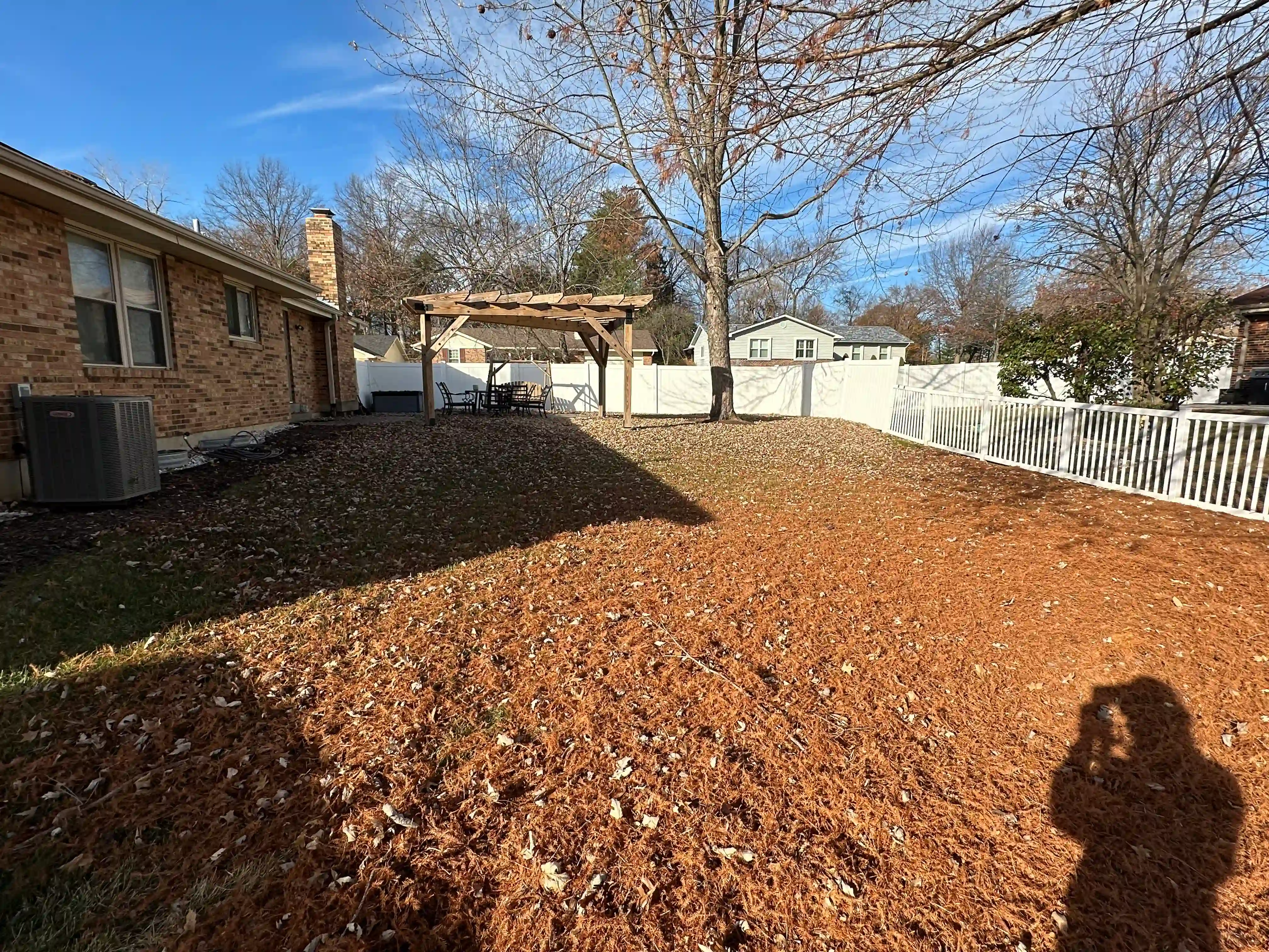 Before landscaping project