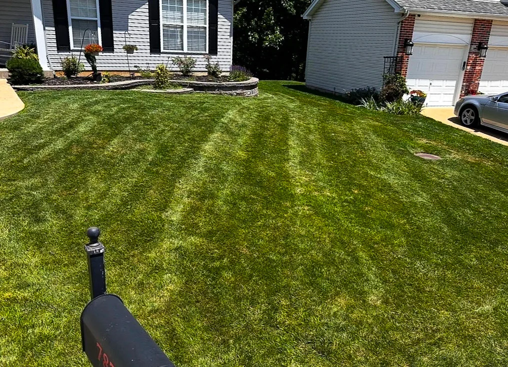Before and after project 2