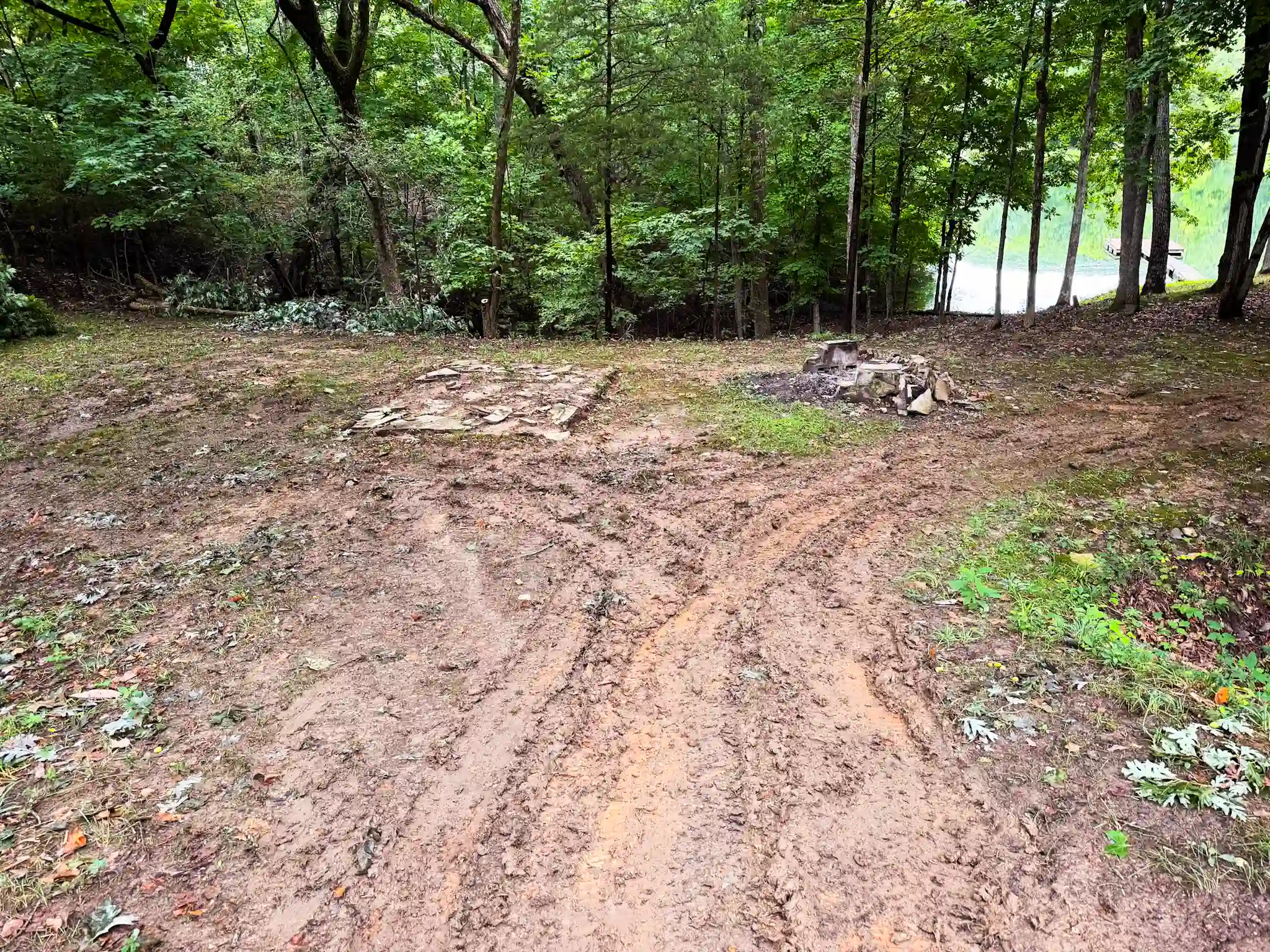 Before landscaping project