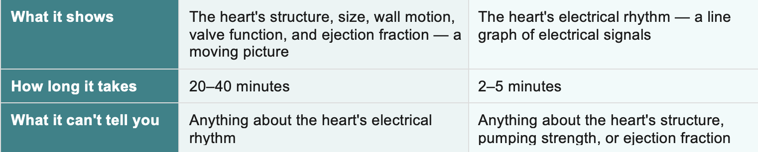 echo vs ecg features echo vs ecg features