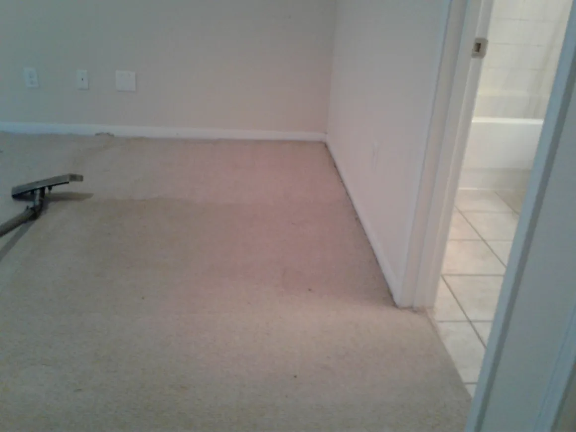 Commercial Carpet Cleaning
