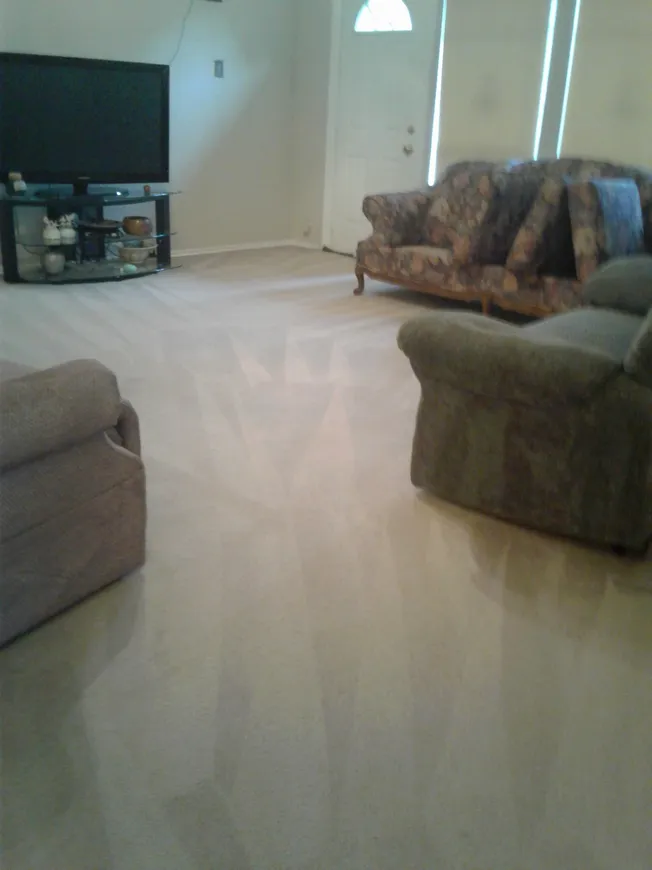 Commercial Carpet Cleaning