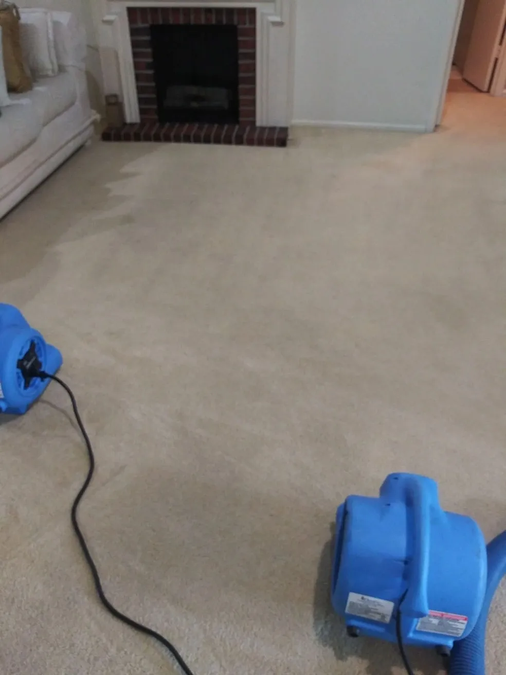  Commercial Carpet Cleaning