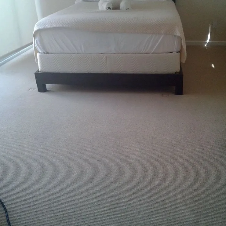Sugarland Residential Carpet Cleaning