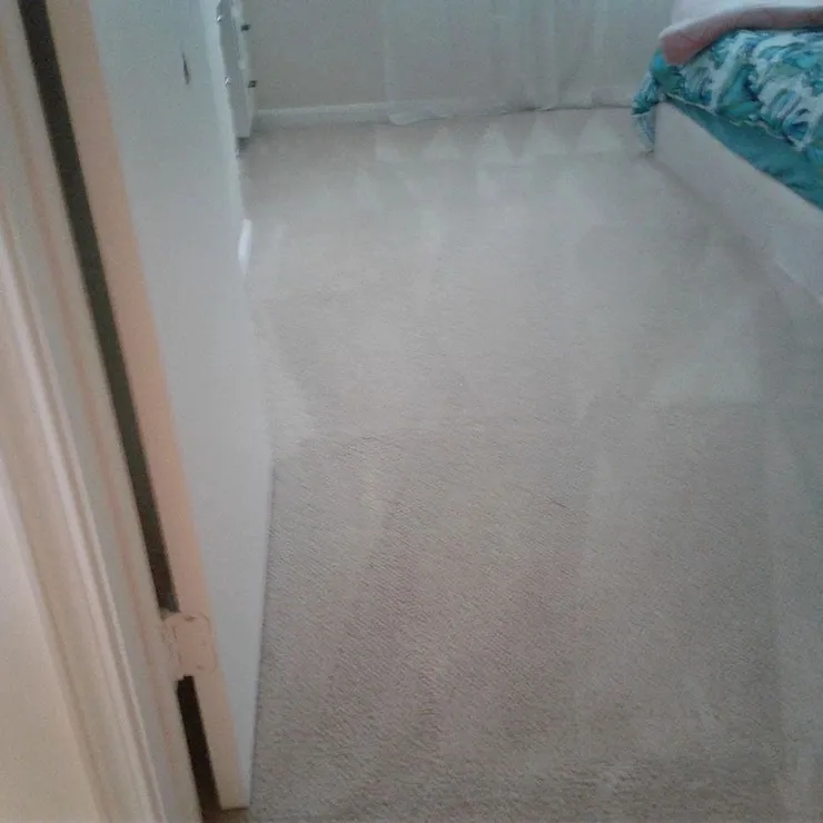 Sugarland Residential Carpet Cleaning