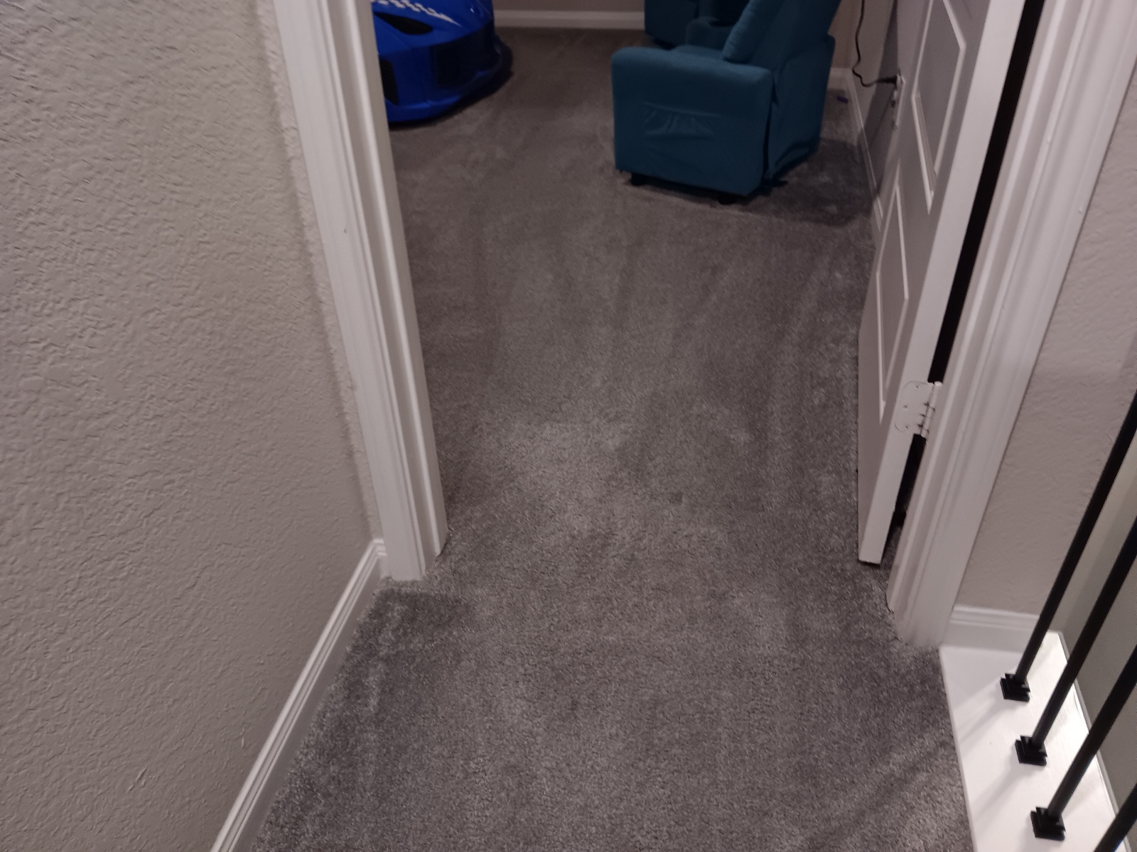 Commercial Carpet Cleaning