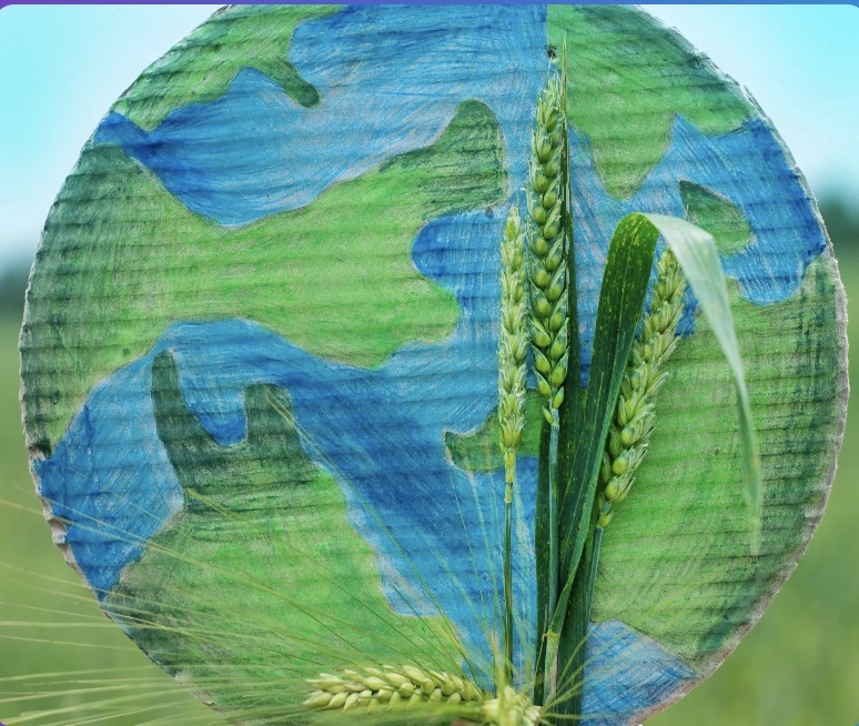 Eco friendly promotional products including reusable drinkware sustainable branded merchandise and environmentally responsible corporate giveaways in Louisville Kentucky