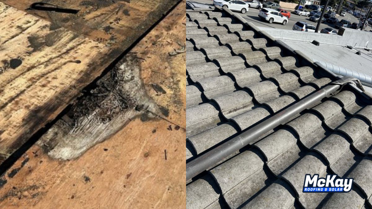 Ocean Beach Flat Roof Replacement on Bacon Street