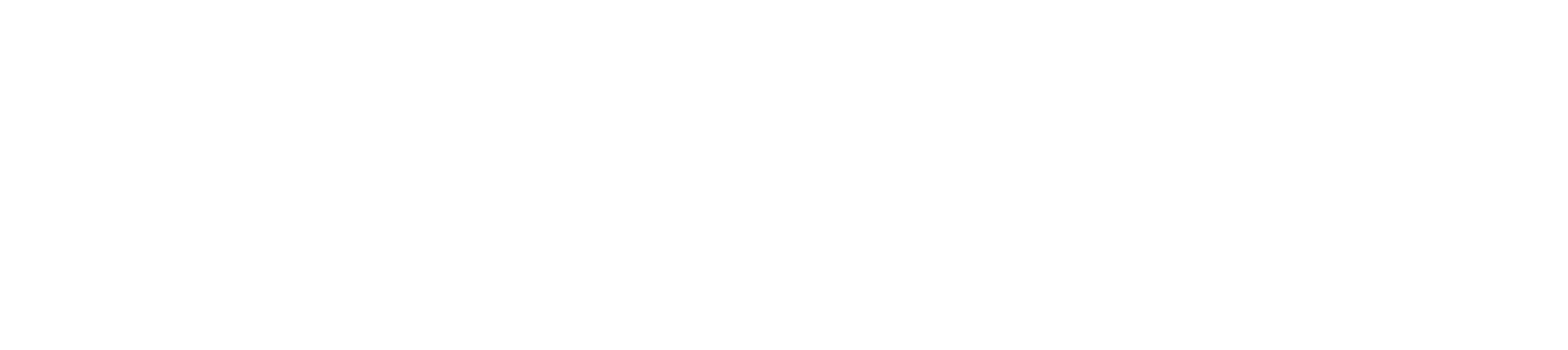 Connor Newell Consulting