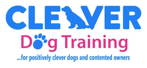 Clever best sale dog training