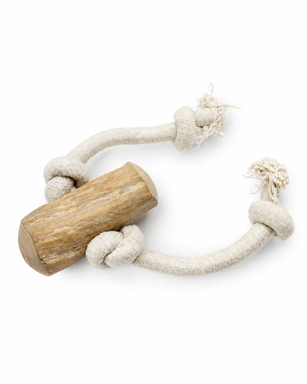 Dog Buddy product available on eBay