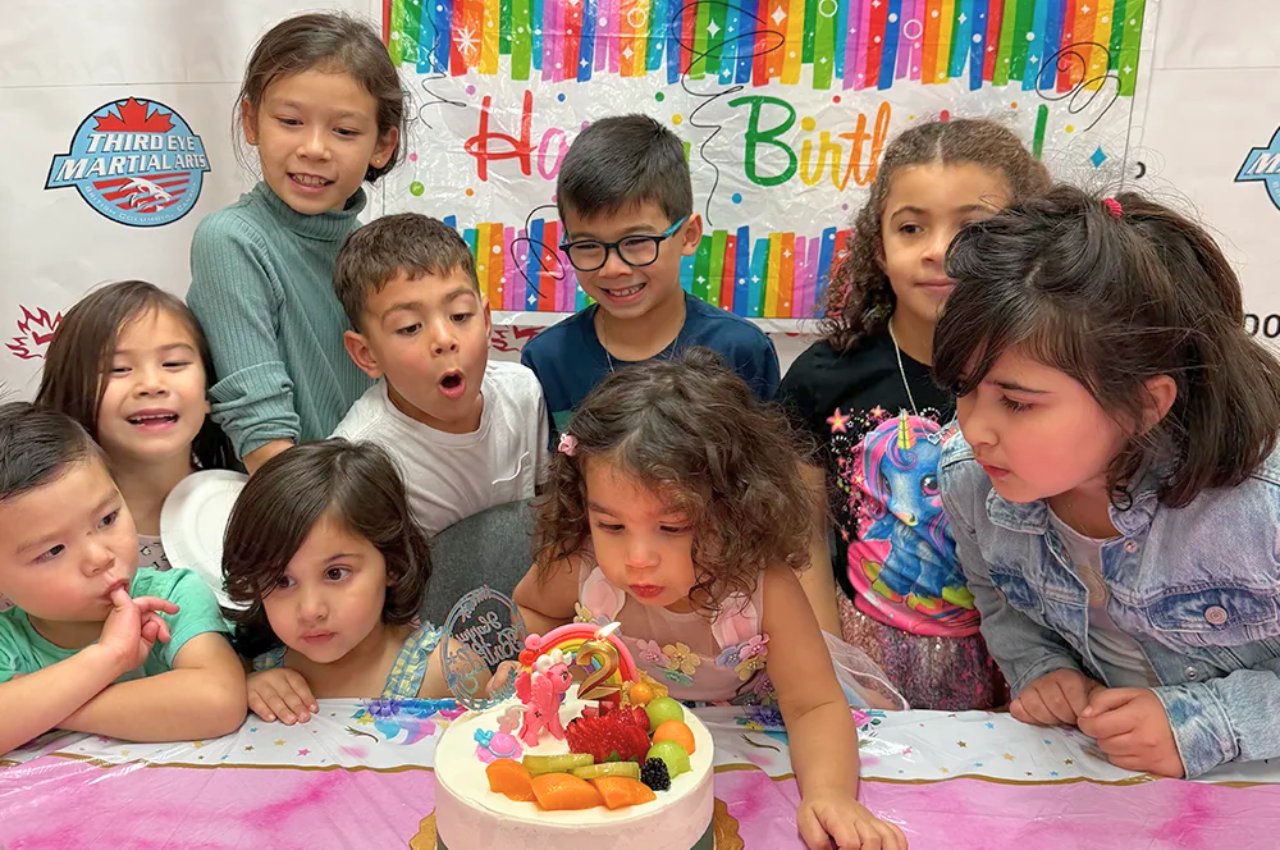 martial arts birthday parties