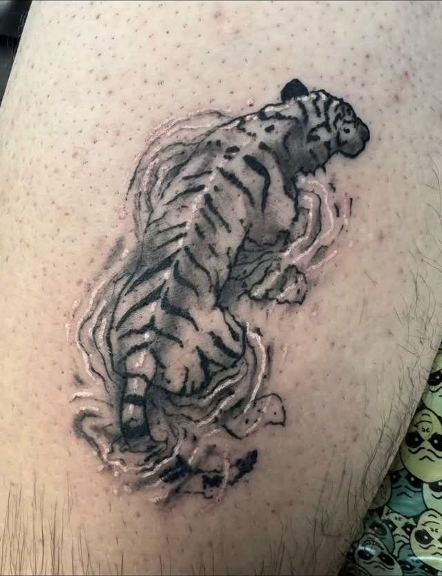 Black-and-grey tiger tattoo prowling across the skin