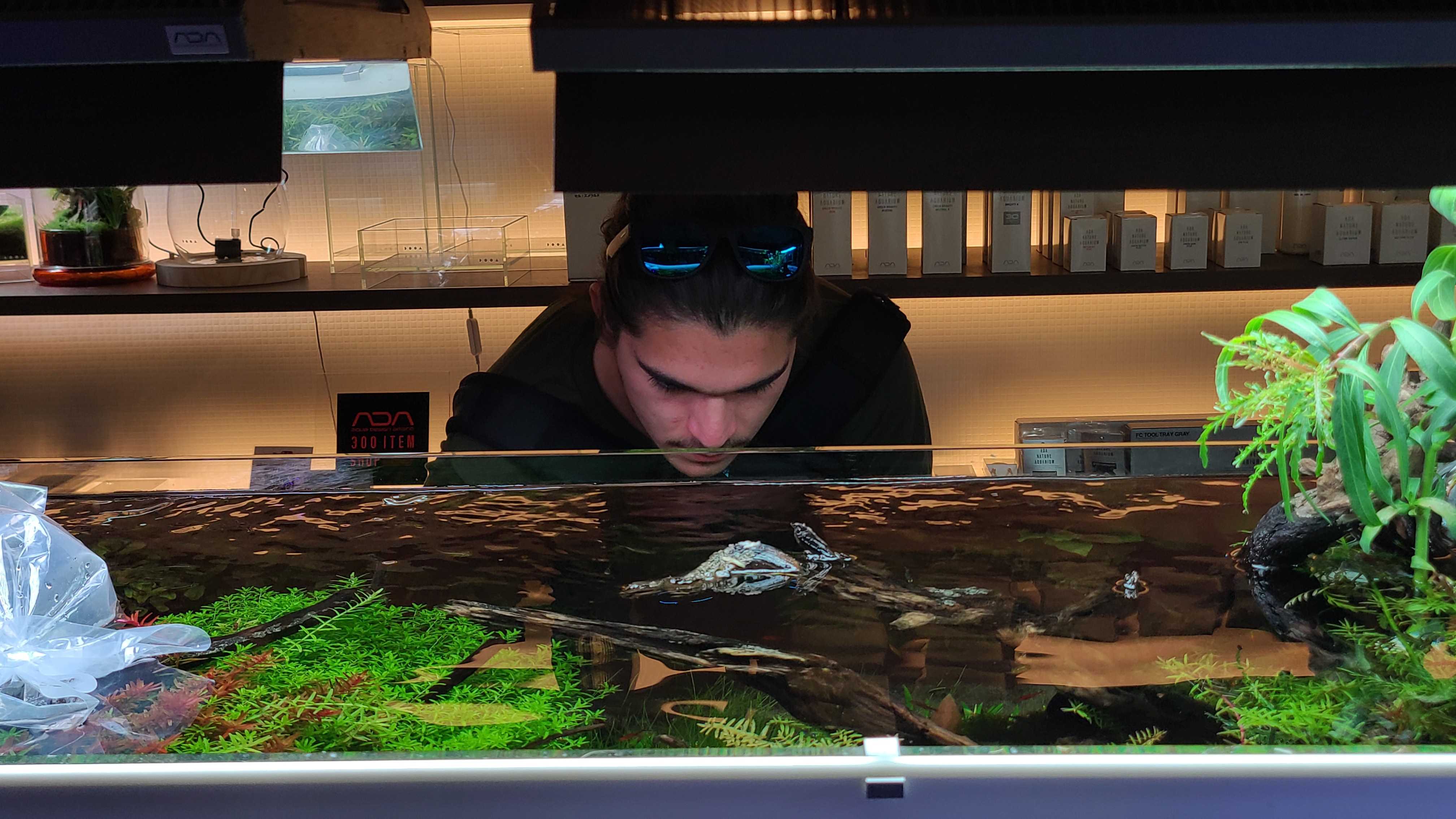 Professional aquarium setup