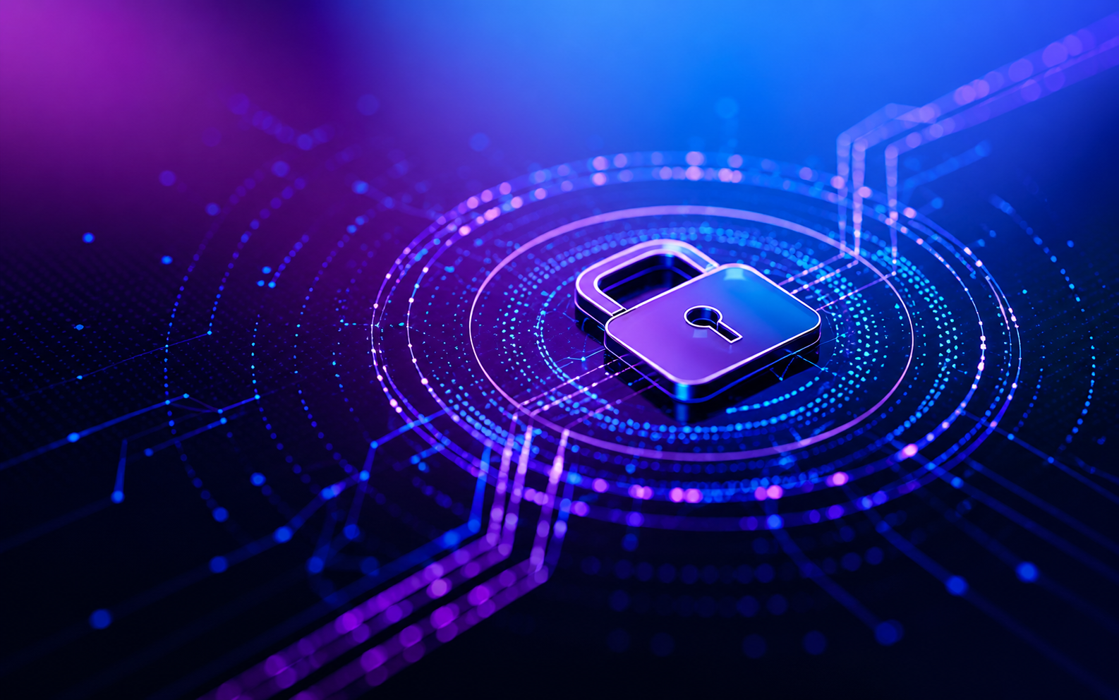 Privacy beveiliging Studio Naleor