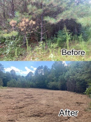 Land Clearing in Heard County