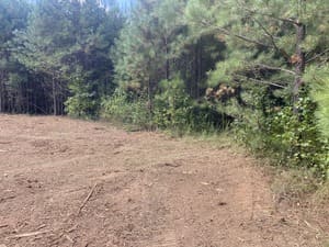 Pond Maintenance in Heard County