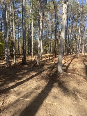 Grading & Dirt Work in Coweta County