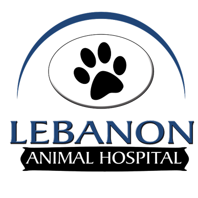 Lebanon Animal Hospital