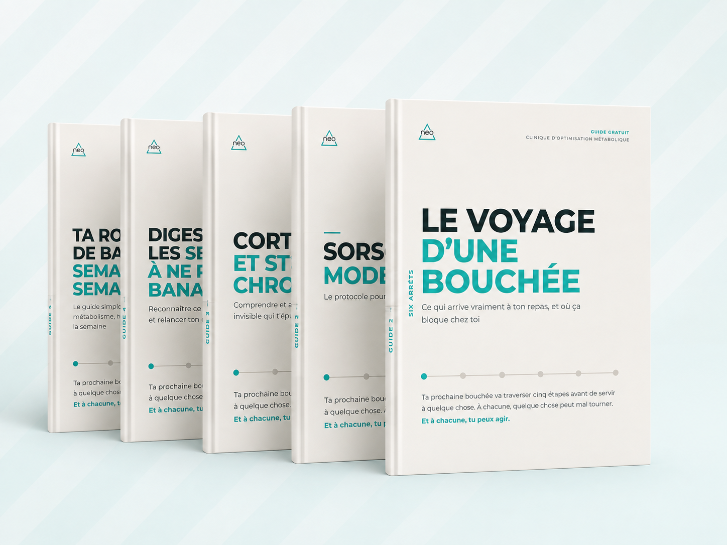 Les cinq guides NEO remis dans le sac-cadeau