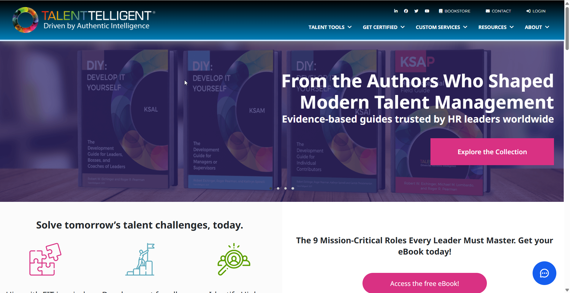 TalentTelligent website by Mixed Digital