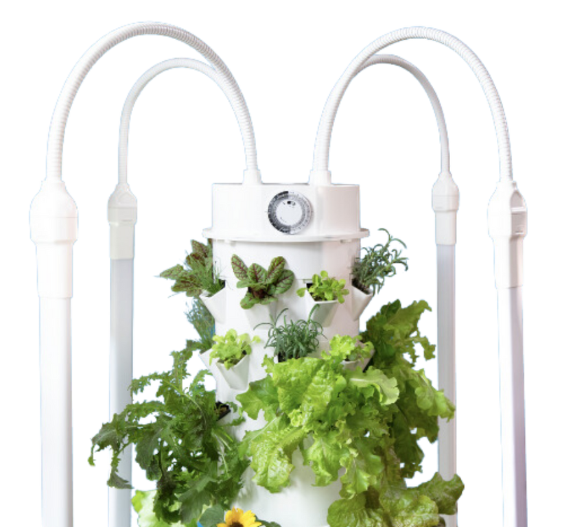 A Tower Garden growing fresh greens