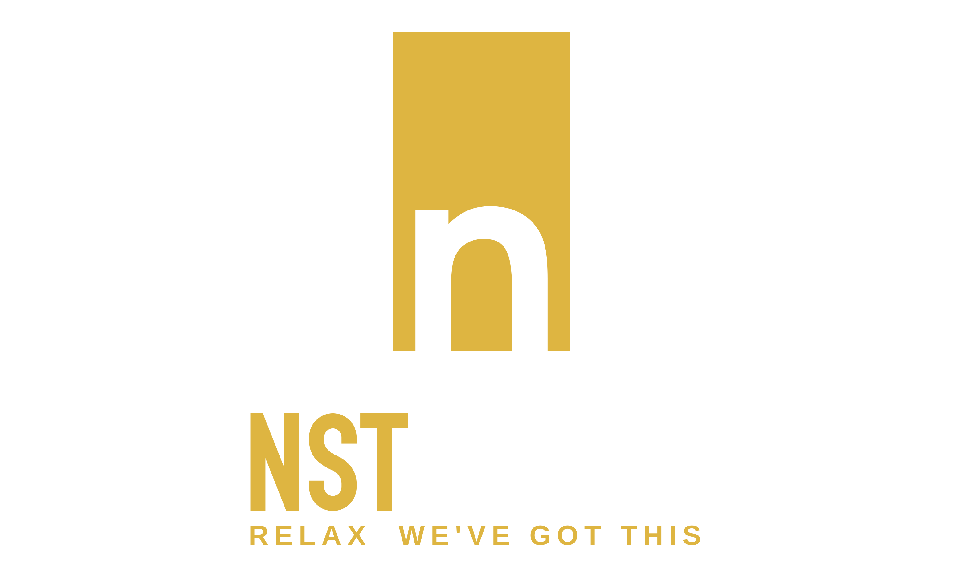 NST Media Logo