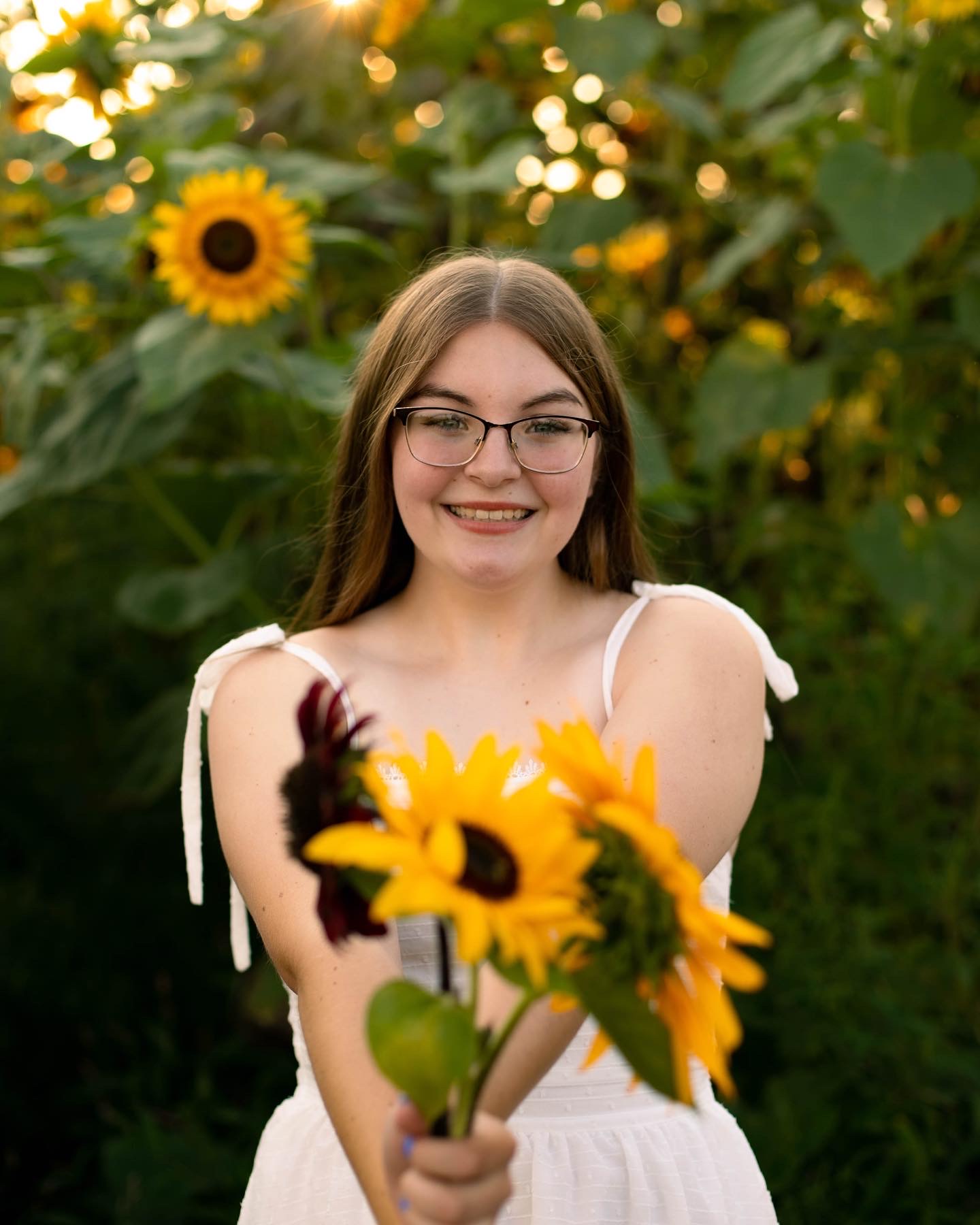 Sunflower field at Wildflower Glasshouse