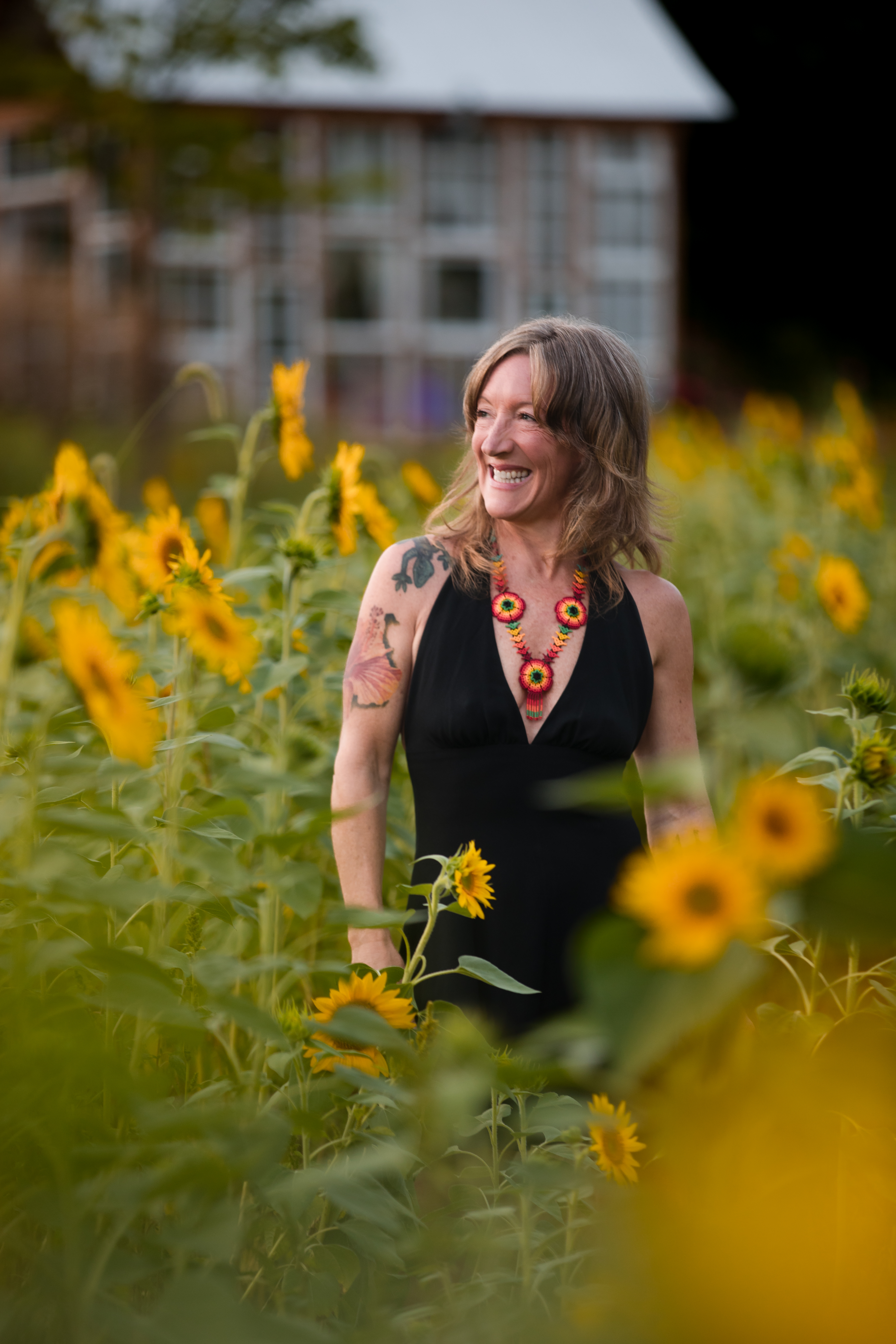 Sunflower field at Wildflower Glasshouse
