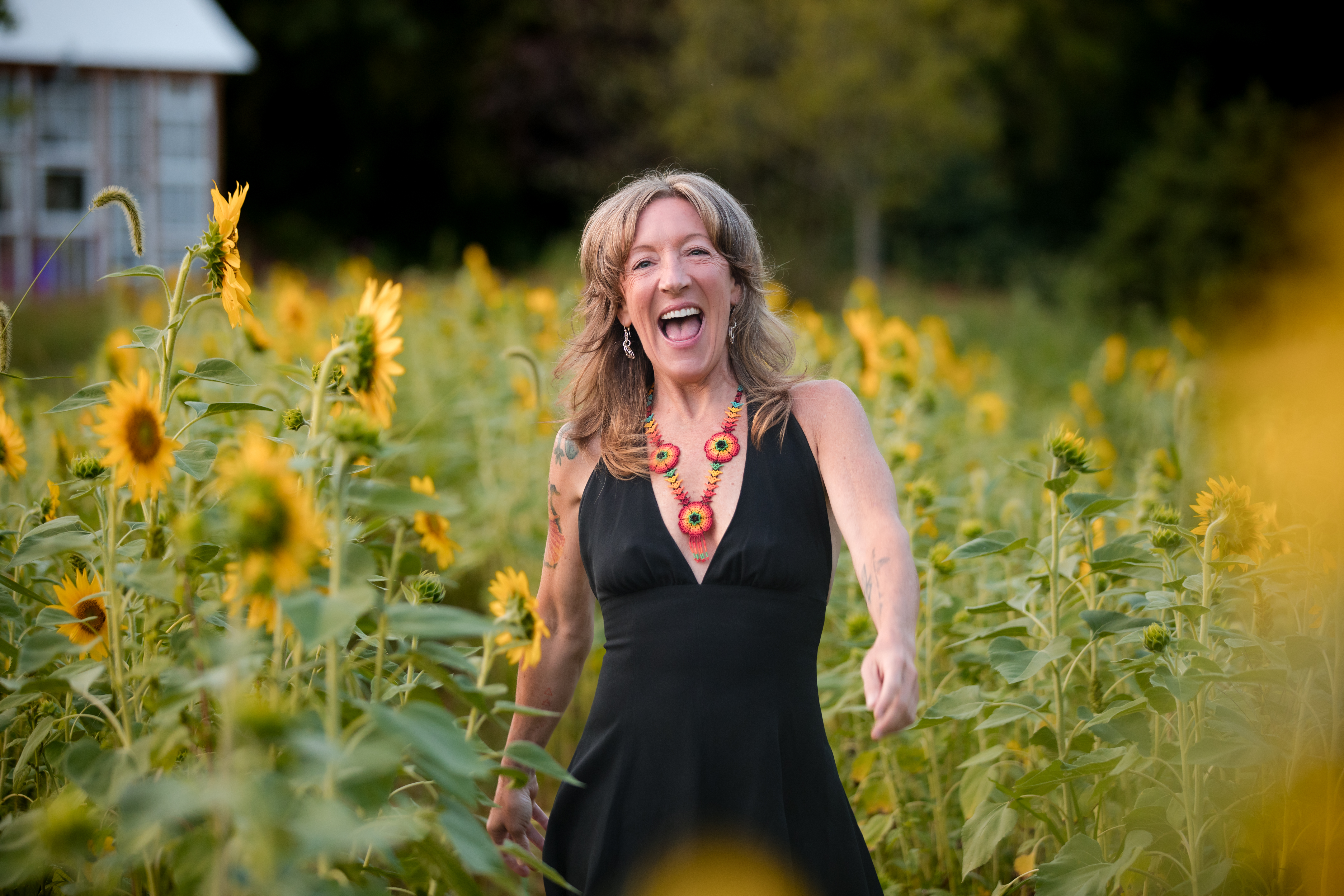 Sunflower field at Wildflower Glasshouse