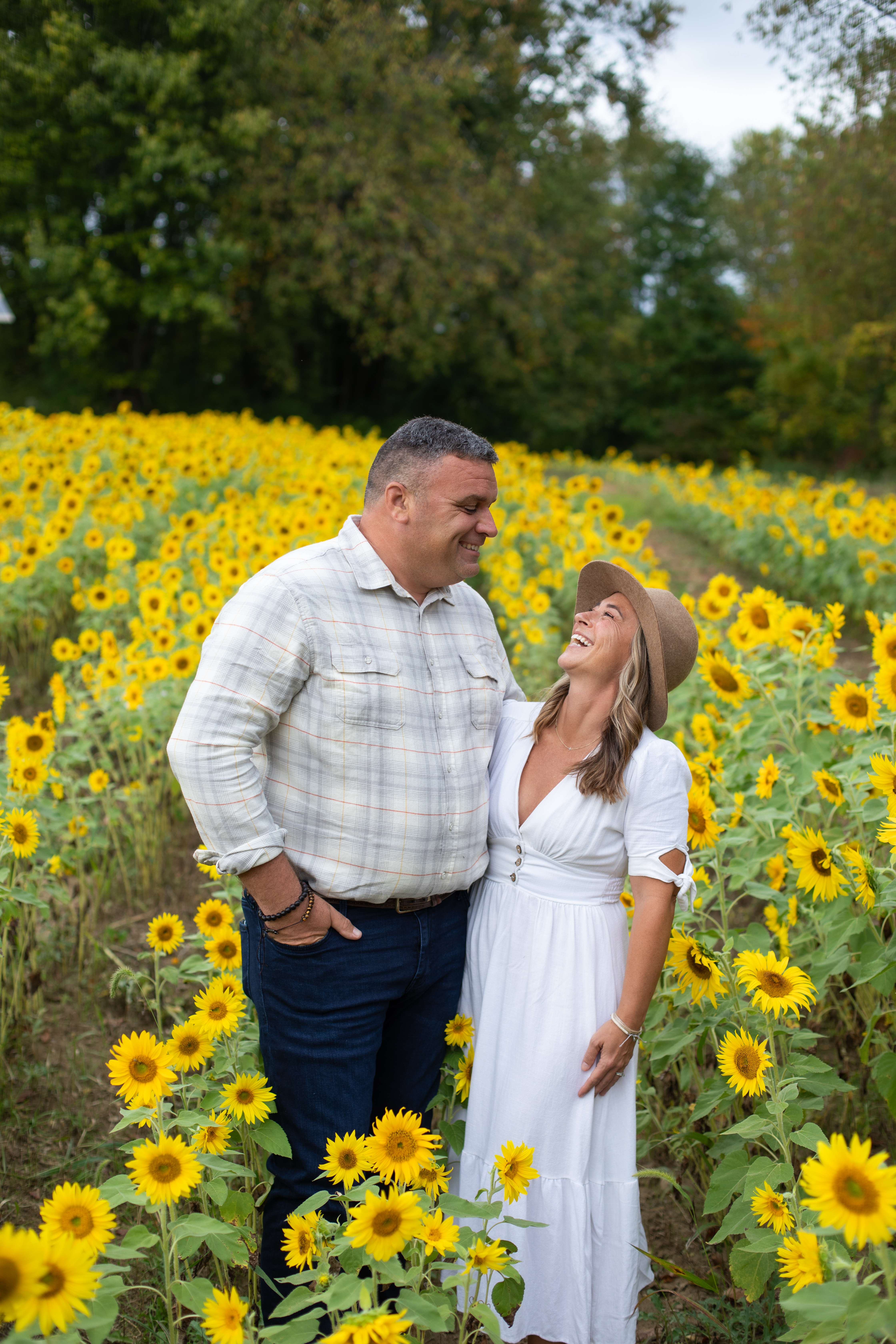 Sunflower field at Wildflower Glasshouse