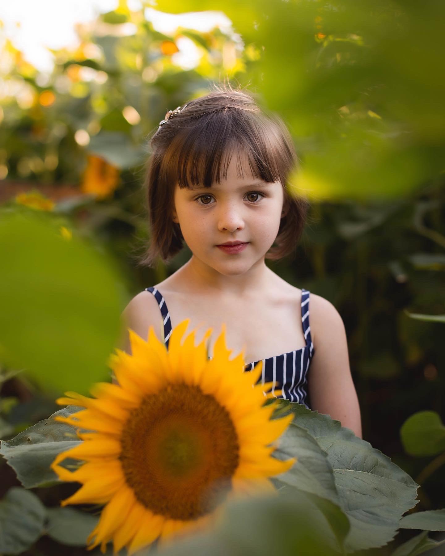 Sunflower field at Wildflower Glasshouse