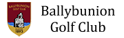 Irish Market Leadership Logo