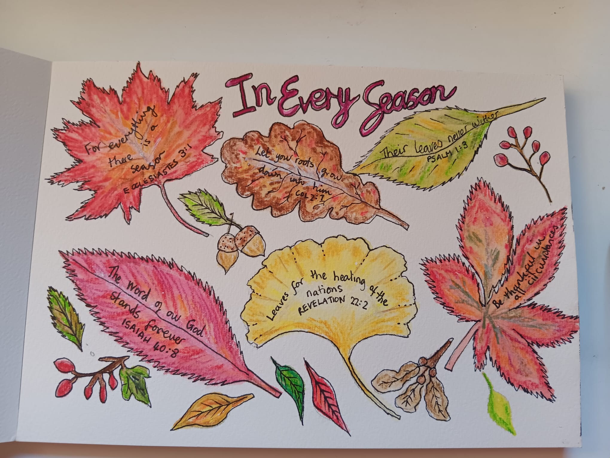 In Every Season...leaf sketching with inktense pencils In Every Season...leaf sketching with inktense pencils